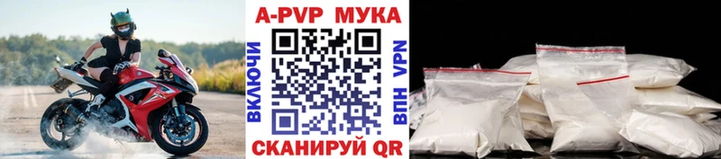 Alfa_PVP СК КРИС  OMG онион  Усмань 