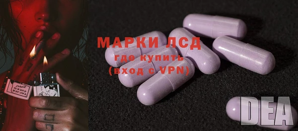 сатива Козельск