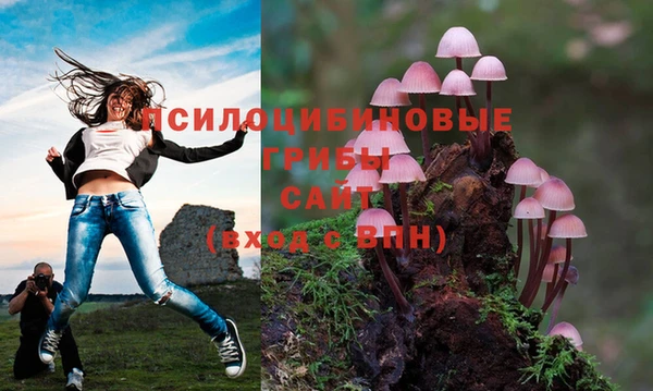 МДПВ Белокуриха