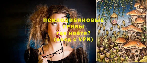 Альфа ПВП Корсаков