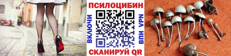 Галлюциногенные грибы Cubensis  где найти наркотики  Усмань 